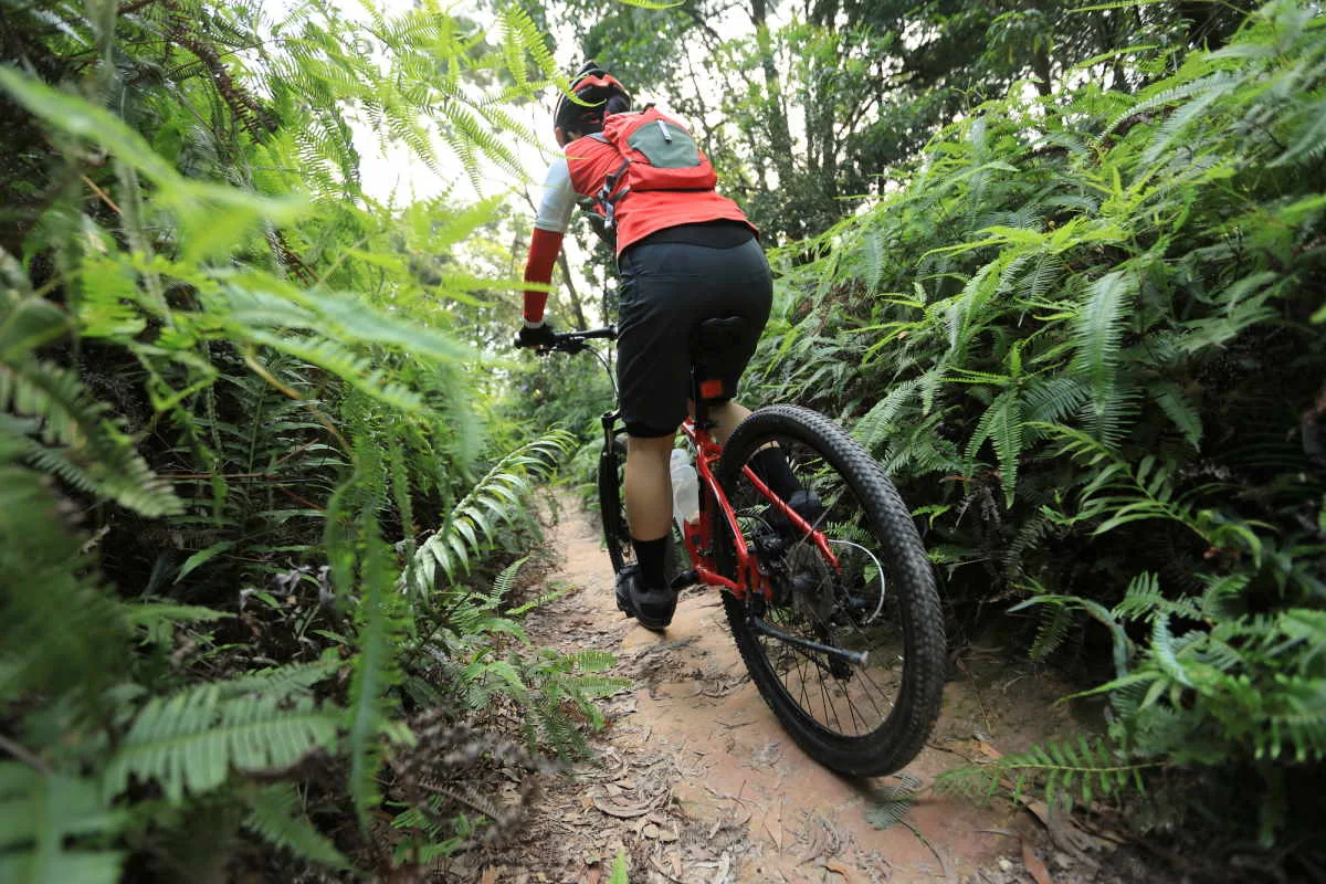 Best Suspension Seat Posts For Electric Bikes - E-Bike Suspension Seatpost