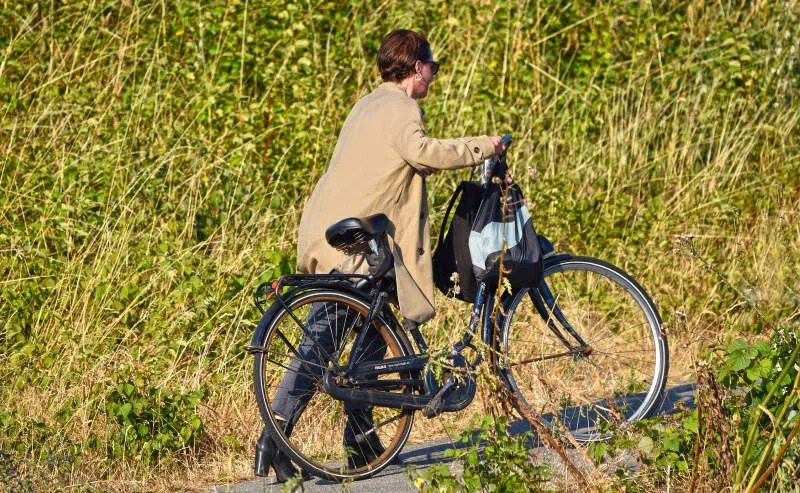 What Is Walk Mode On An Electric Bike - How To Use Walk Assist 2 What Is Walk Mode On An Electric Bike